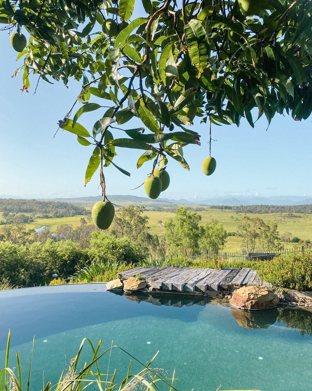 Infinity pool overlooking the Scenic Rim at Spicers Hidden Vale