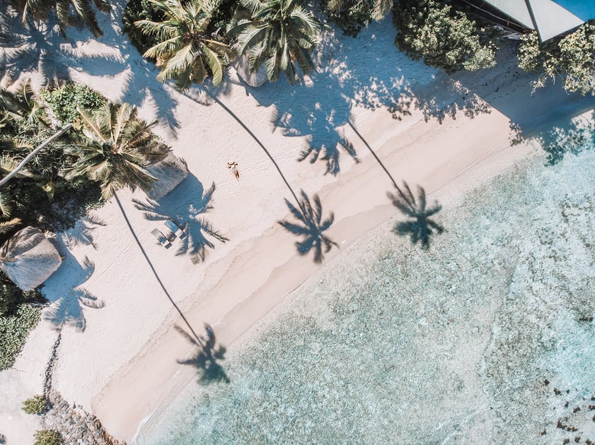 Aerial view of a palm-lined beach and clear water