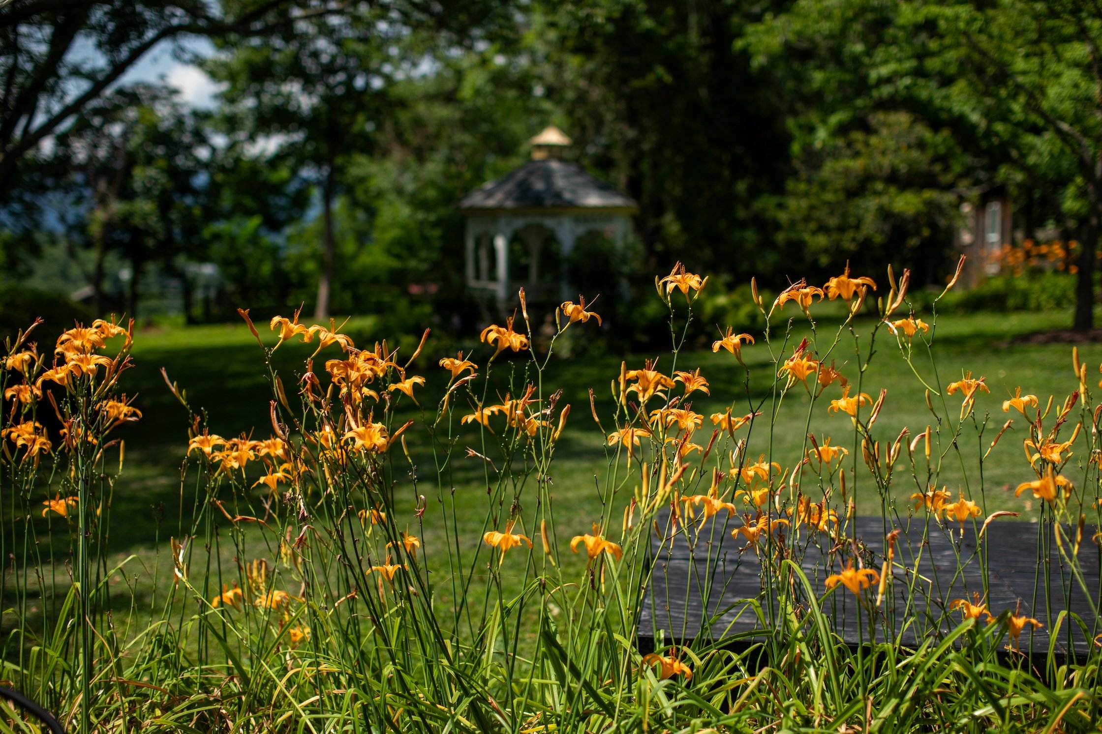 Flower garden at The Blue Door Inn