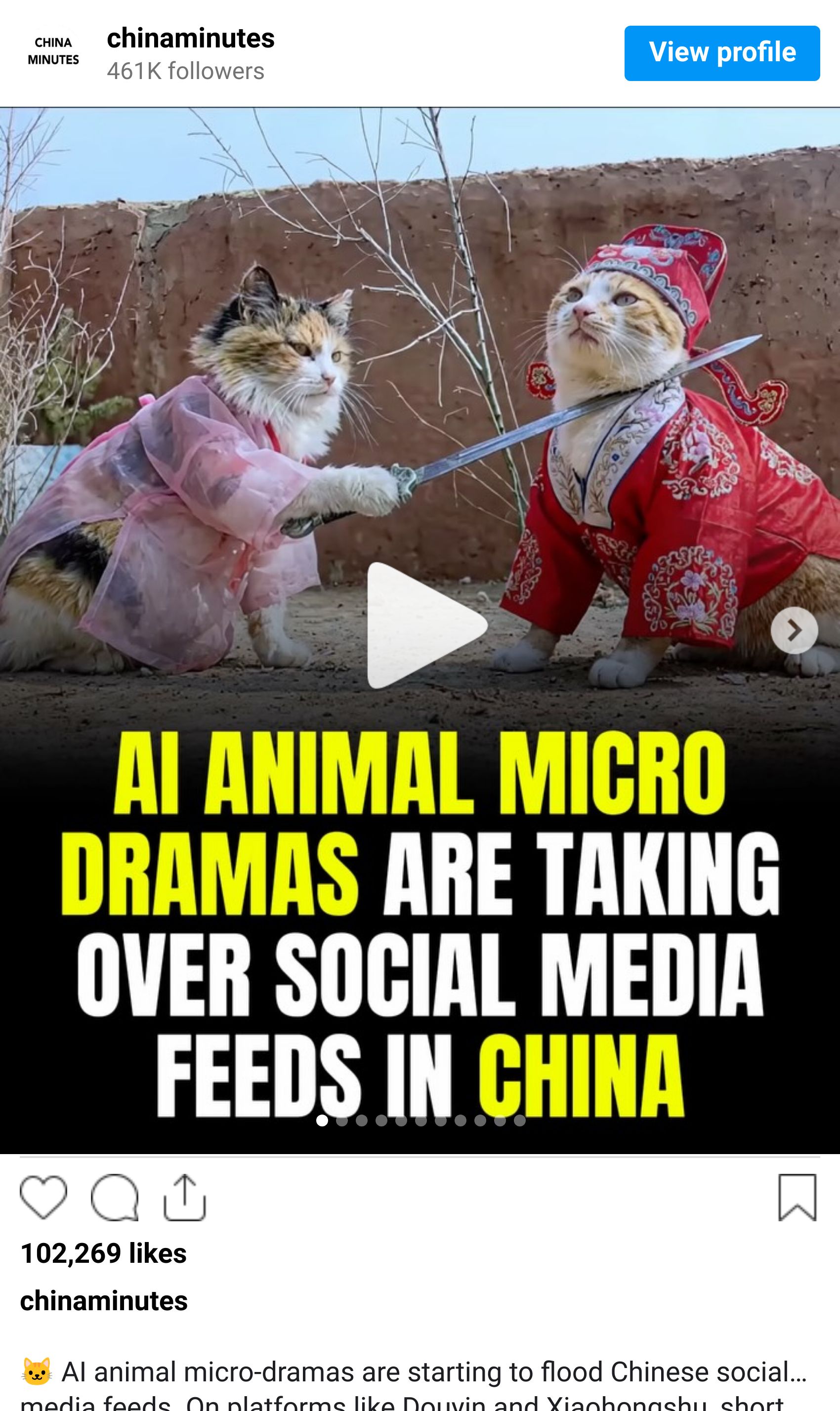 Instagram reel screenshot