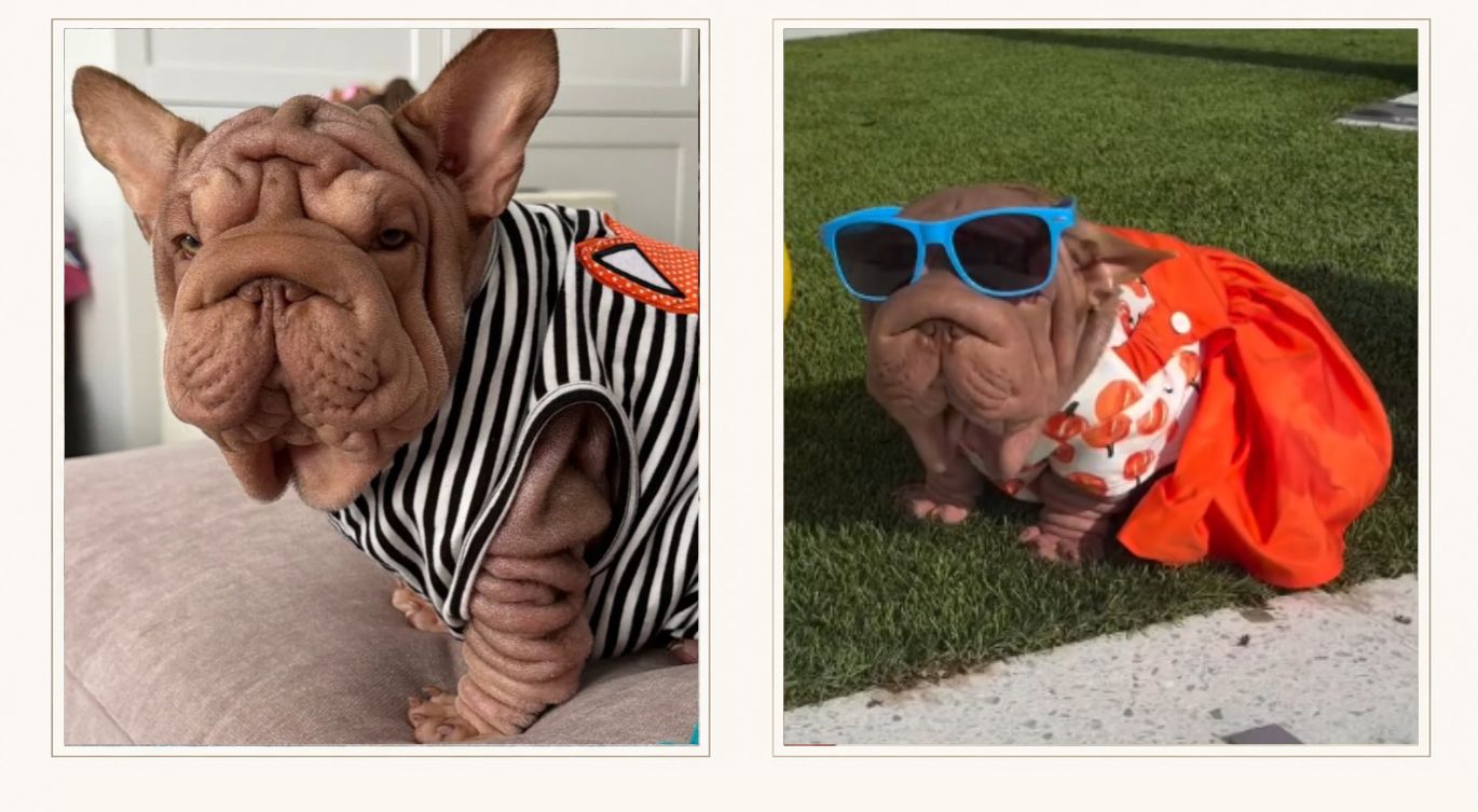 Collage of Manila wearing a black-and-white striped outfit and blue sunglasses with a red outfit