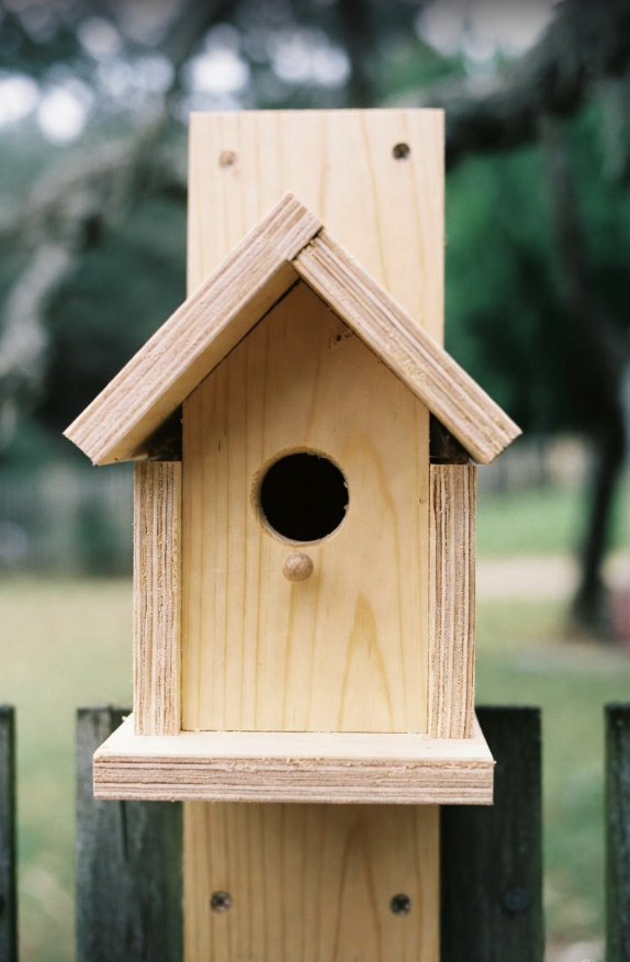 Finished wooden birdhouse mounted outdoors