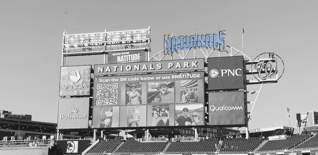 Scene from the ballpark