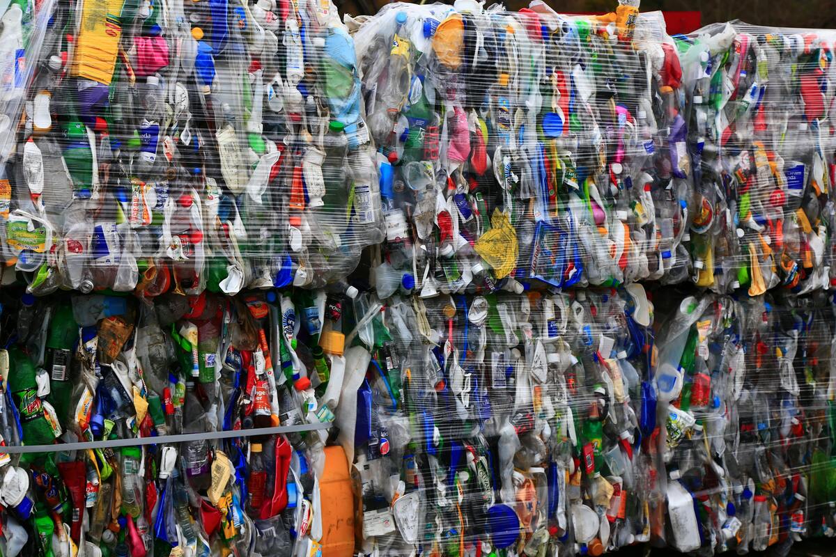 🌎 #284: How to beat plastic