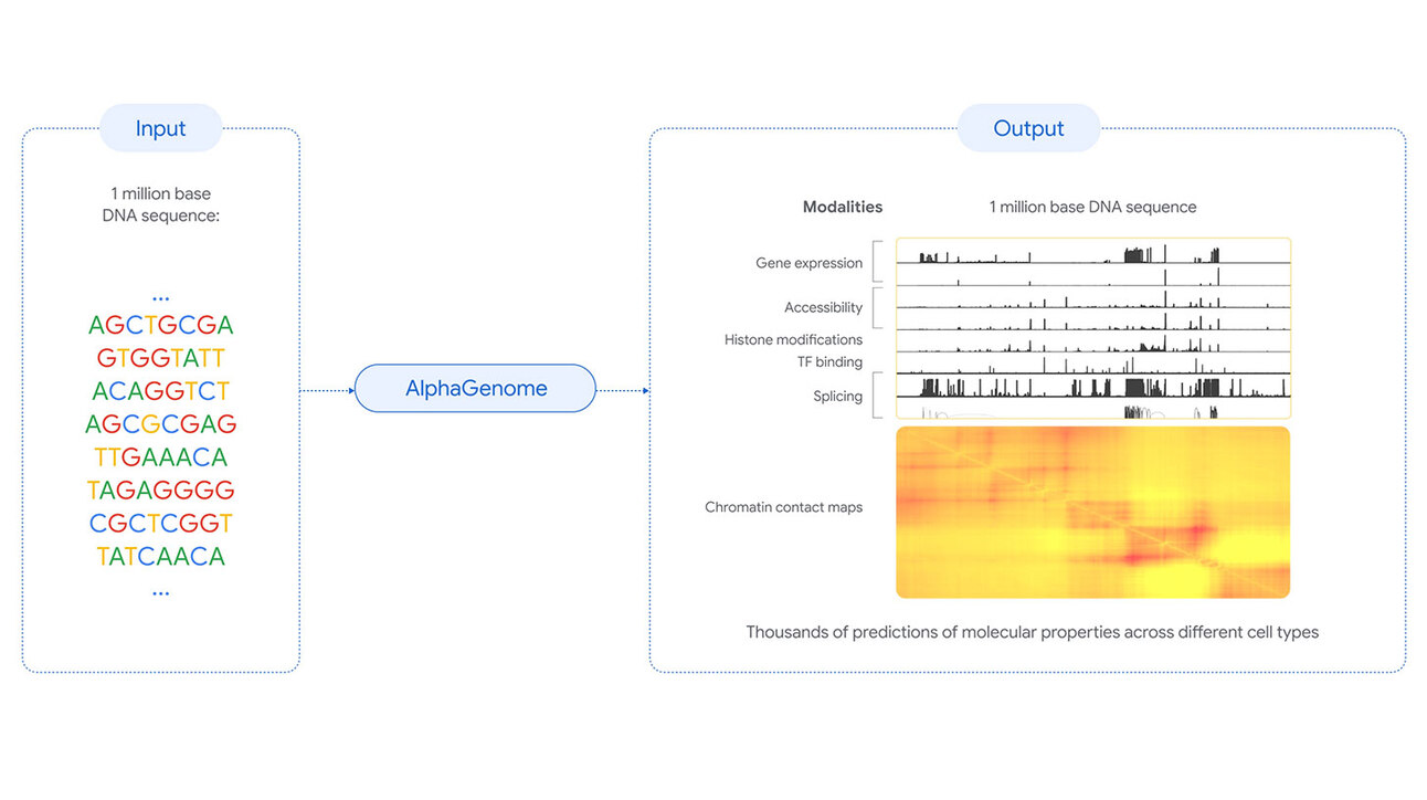 DeepMind yeni AlphaGenome modeliyle DNA'da...
