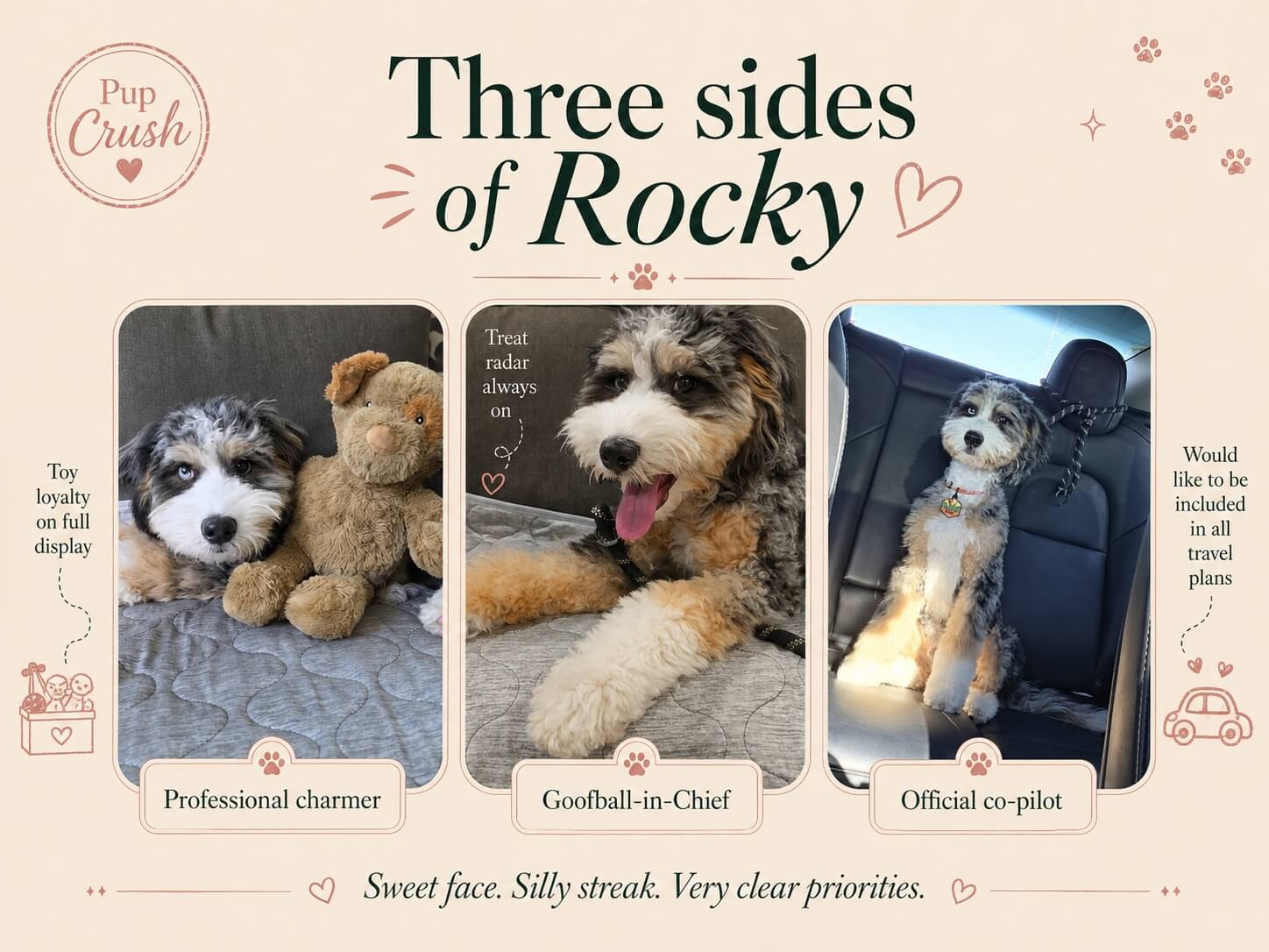 Rocky in three moments showing his sweet, goofy and co-pilot sides