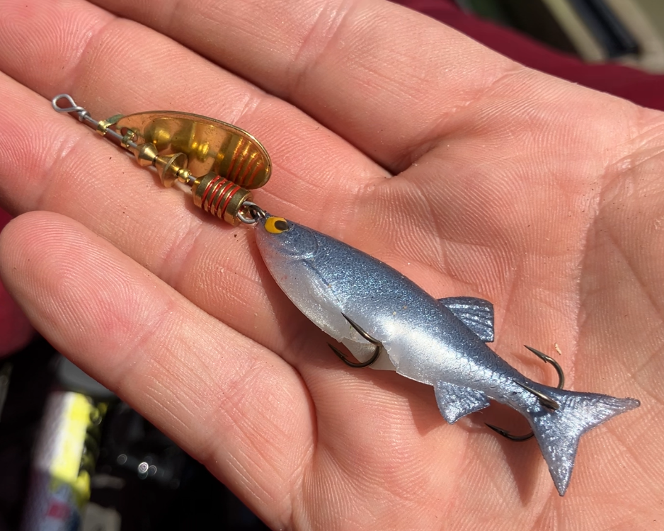 Fishing from a kayak on the Meramec River