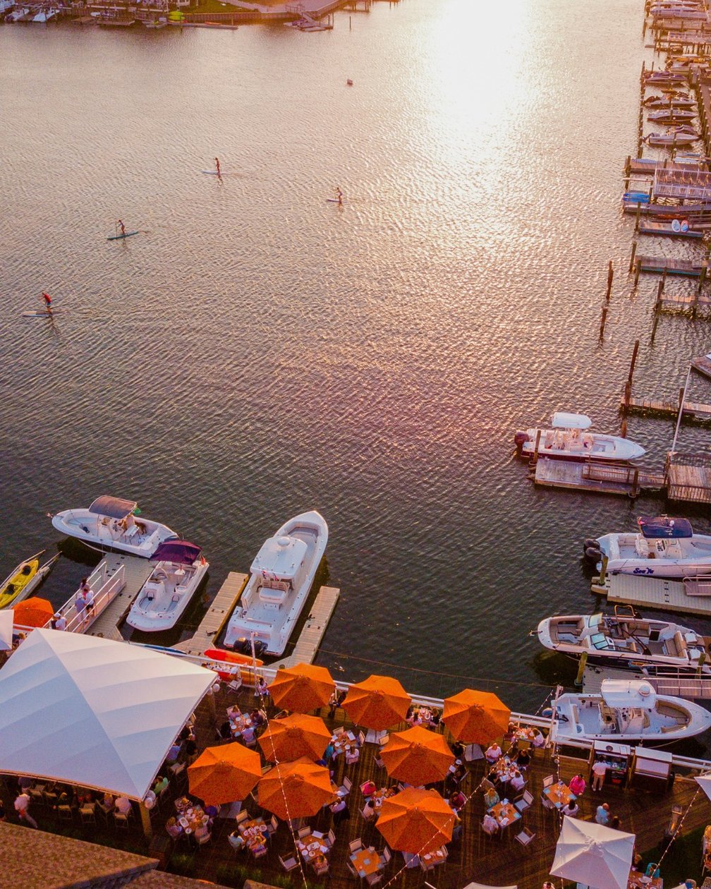 Stone Harbor marina and bay viewed from The Reeds with orange flowers in the foreground