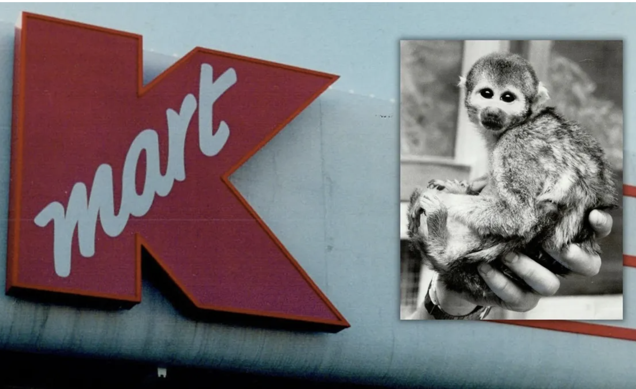 A vintage-style color photo of a Kmart storefront with a squirrel monkey shown in a woman's hand, used to illustrate the claim that Kmart sold pet monkeys in the 1960s