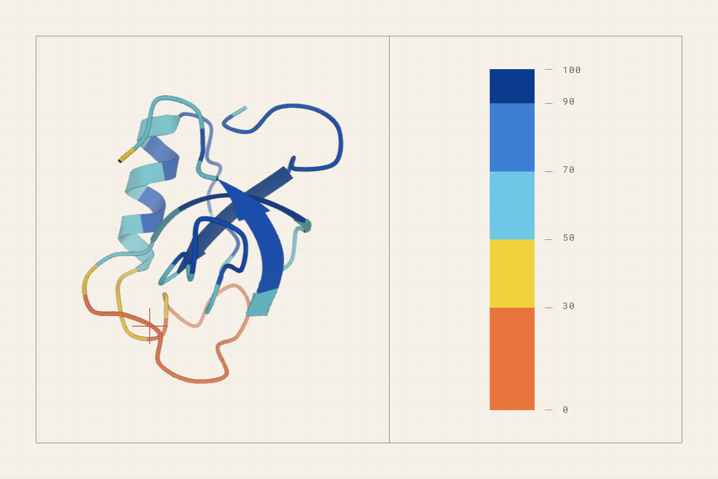 A folded protein structure coloured by the model's confidence, blue where it is sure and yellow to orange where it is guessing.