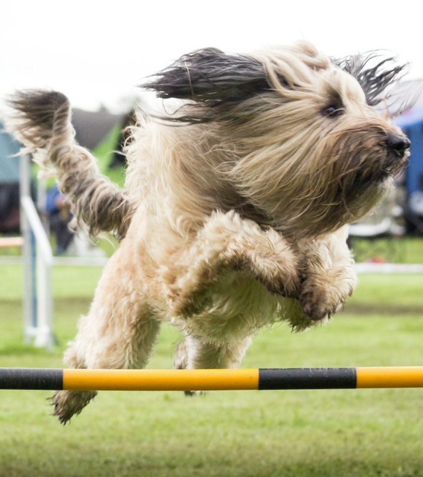 EN 70: Raising the bar or raising the floor?