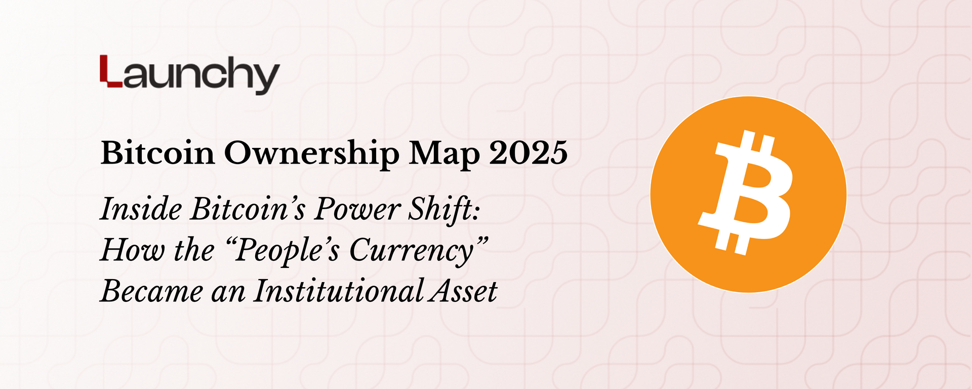 Bitcoin Ownership Map 2025 | Launchy - The best newsletter for crypto  builders and investors.