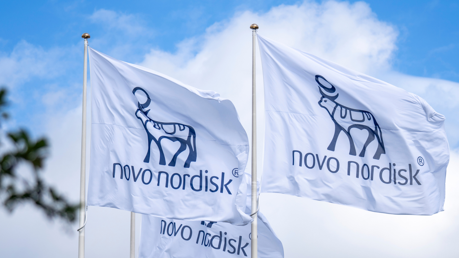 Novo Nordisk, le pire est devant nous ? 