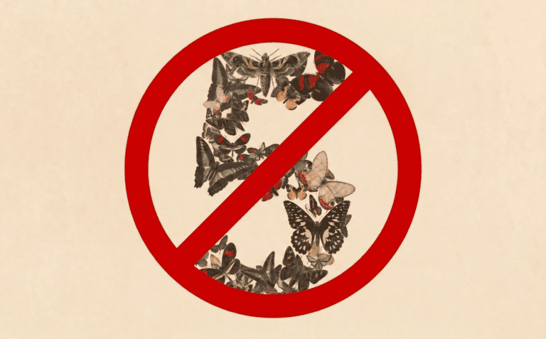 ‘Fix this code.’ The three words that led the U.S. government to ban Anthropic’s Fable and Mythos
