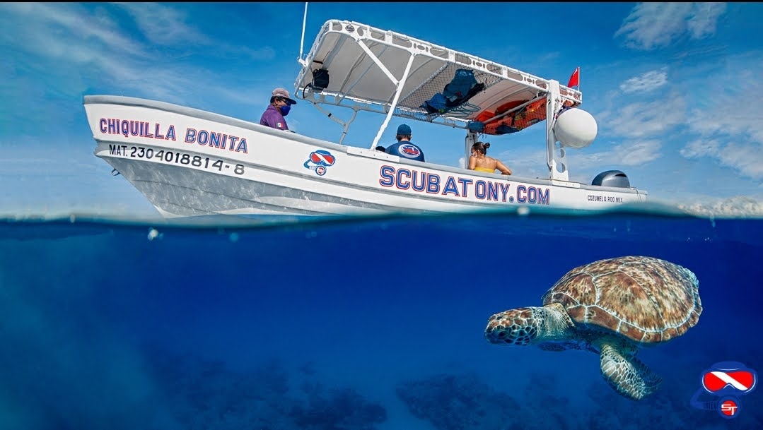 Cozumel Scuba Diving Guide: Why Divers Keep Coming Back