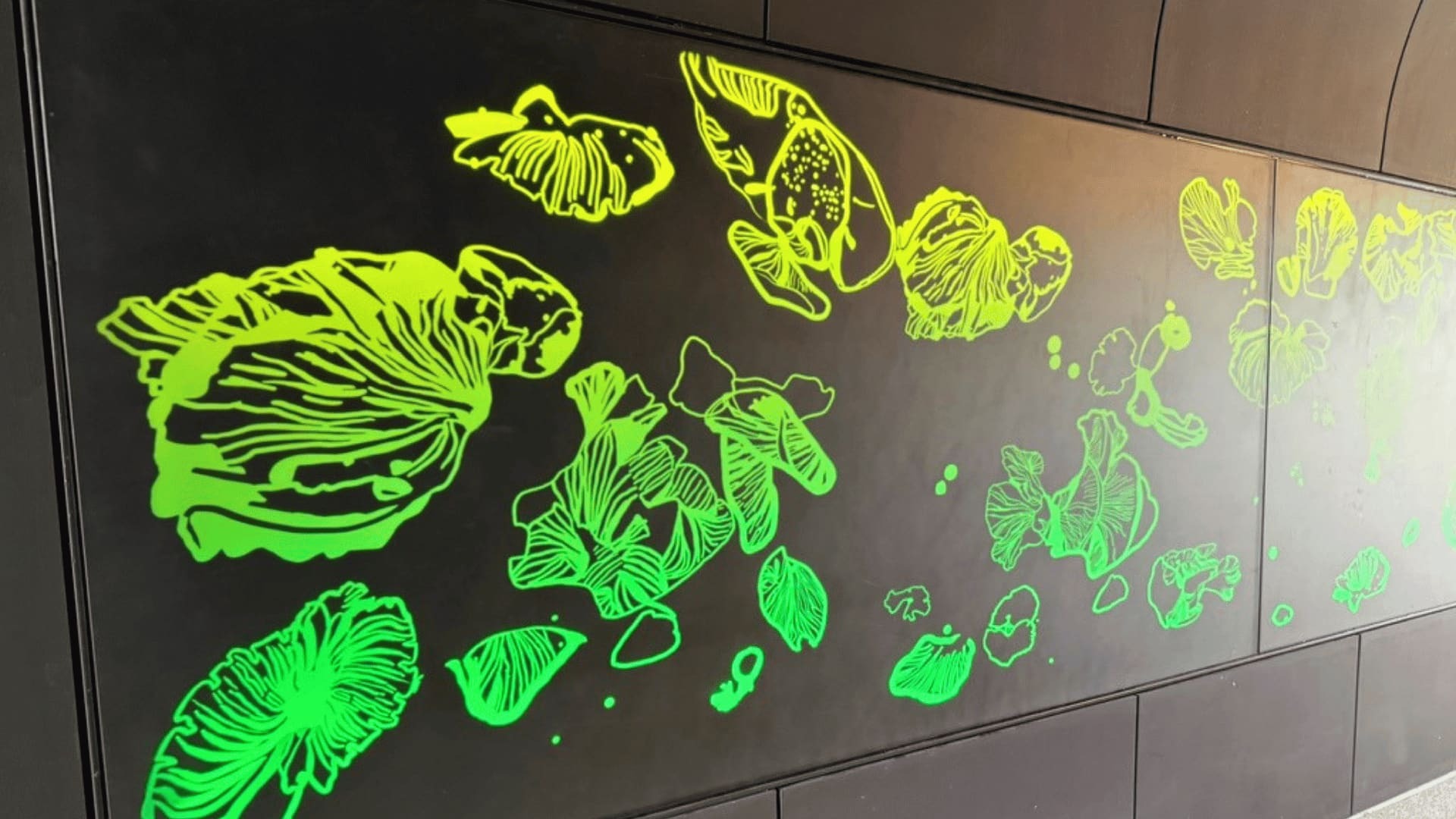 Dance of the Ghost Fungus