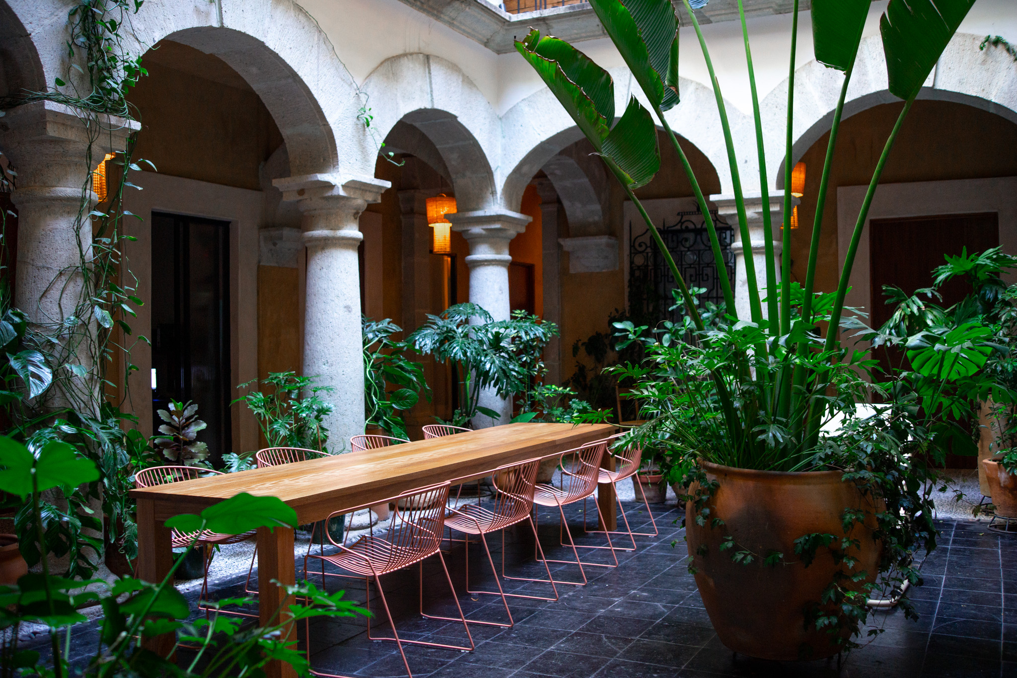 Casa Antonieta's plant-filled historic courtyard in Oaxaca