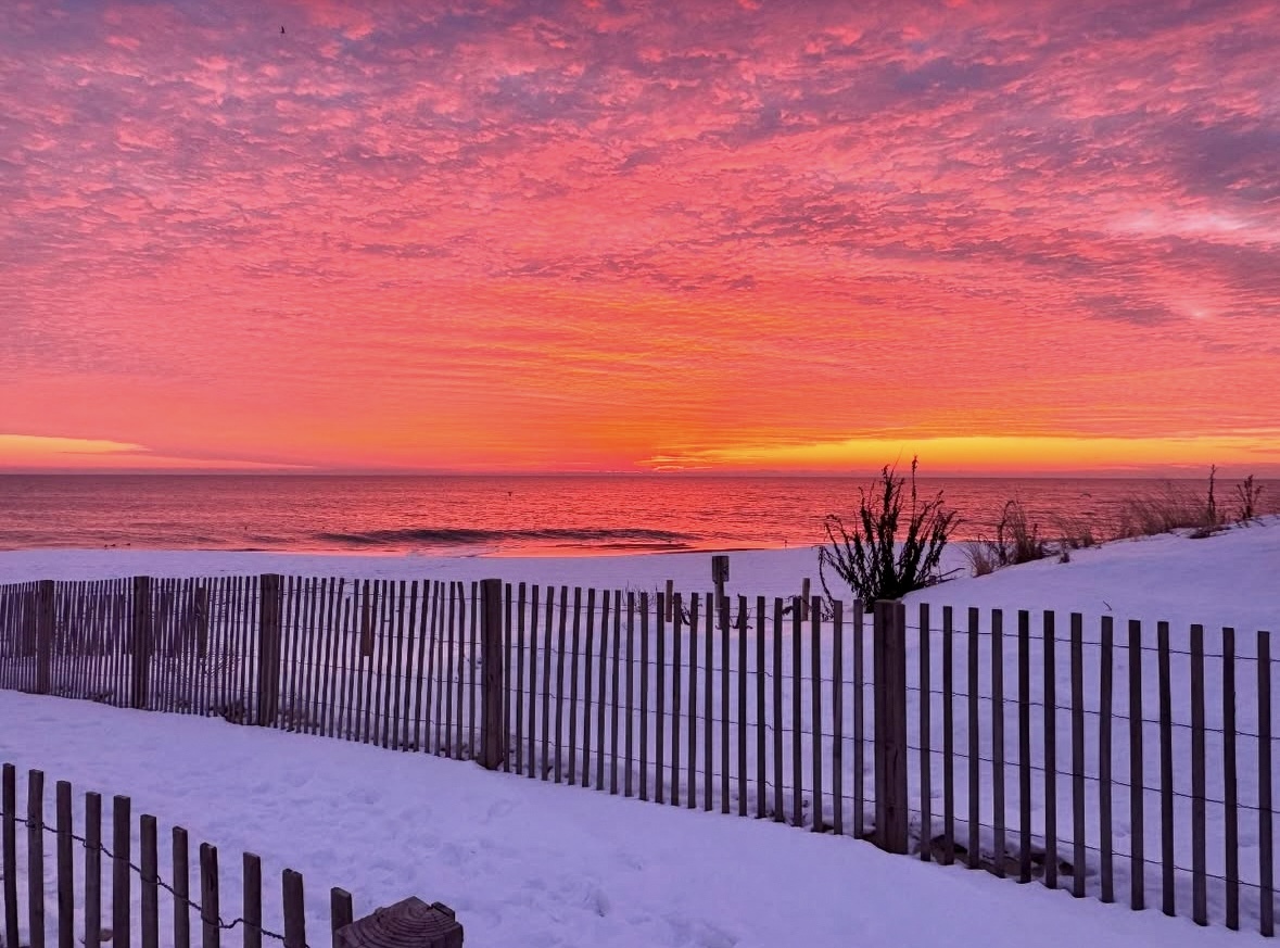 Where to Be in OCMD ~ February 9 - February 15, 2025   