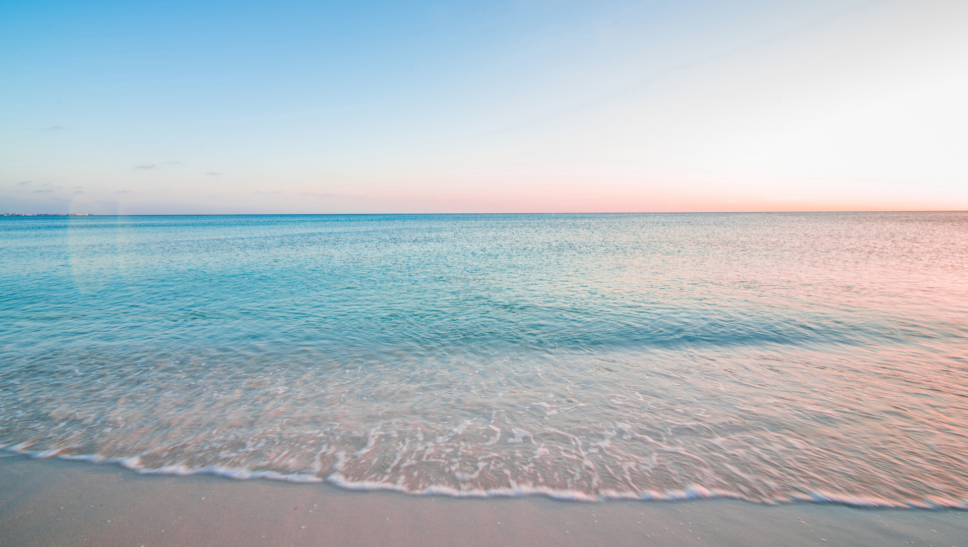 When Stillness Feeds Creation - The Alignment Code