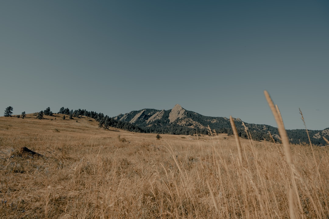 Endurance and Vision