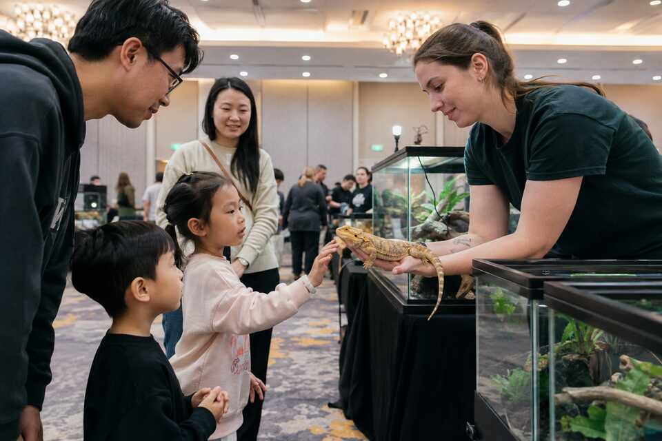 Families safely meeting reptiles in terrariums at a Richmond BC expo