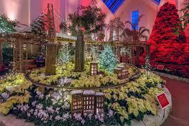 Merry & Bright: Holiday Poinsettia Show