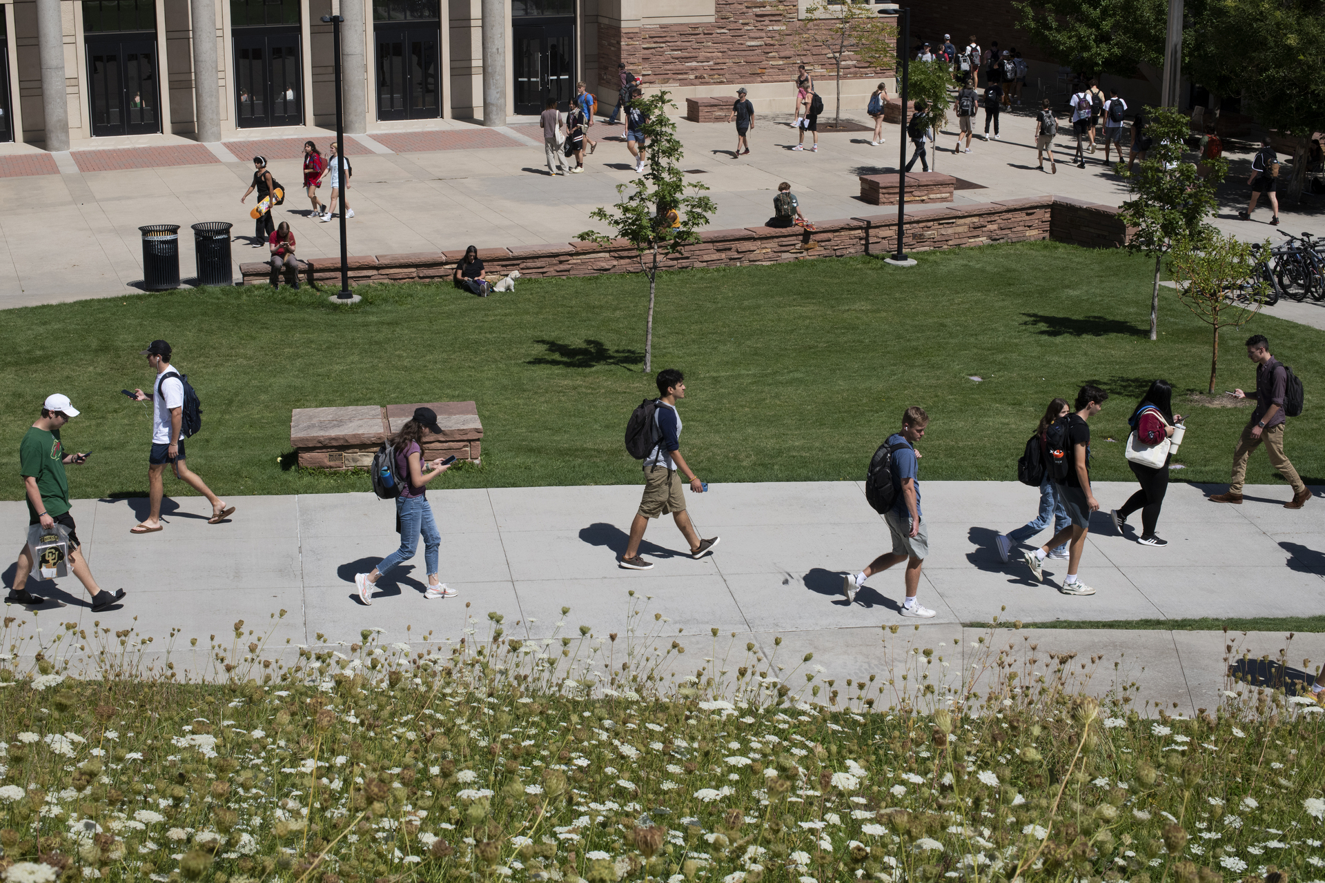 Is college enrollment really plummeting?