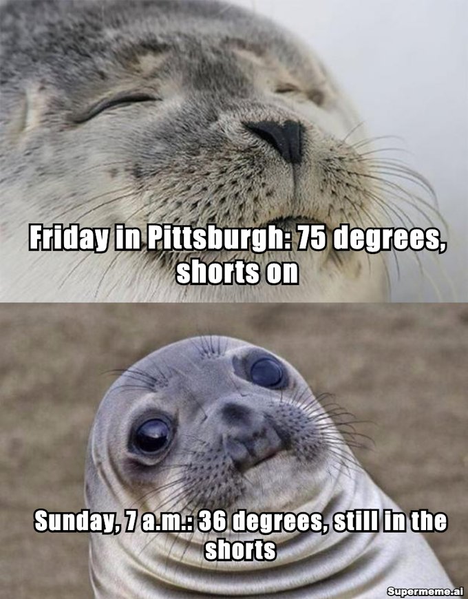 Seal meme. Top, a happy seal: Friday in Pittsburgh, 75 degrees, shorts on. Bottom, an awkward seal: Sunday, 7 a.m., 36 degrees, still in the shorts