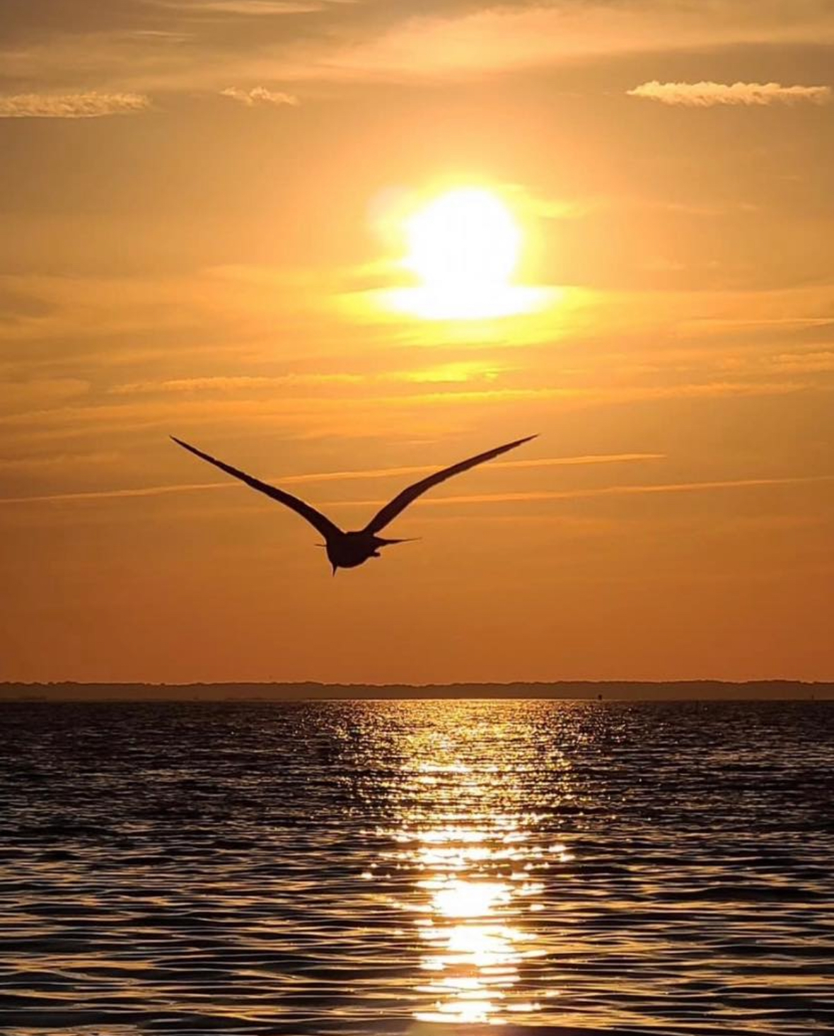 Where to Be in OCMD ~ March 23 - March 29, 2025     