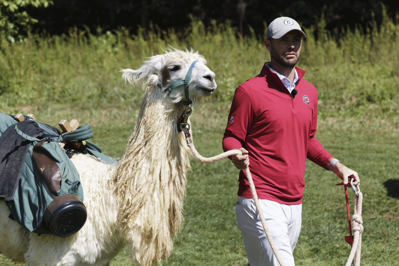 Bryan Bros Llama Photoshoot