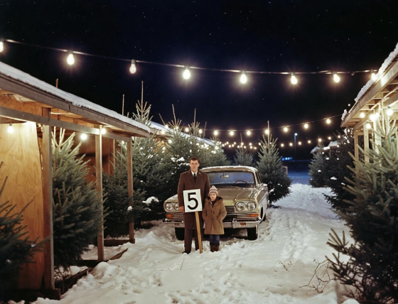 Evelyn’s Christmas Tree Lot Night, 1962