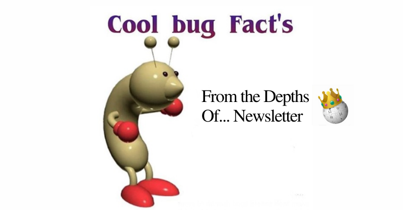 Depths Of... Cool Bug Facts