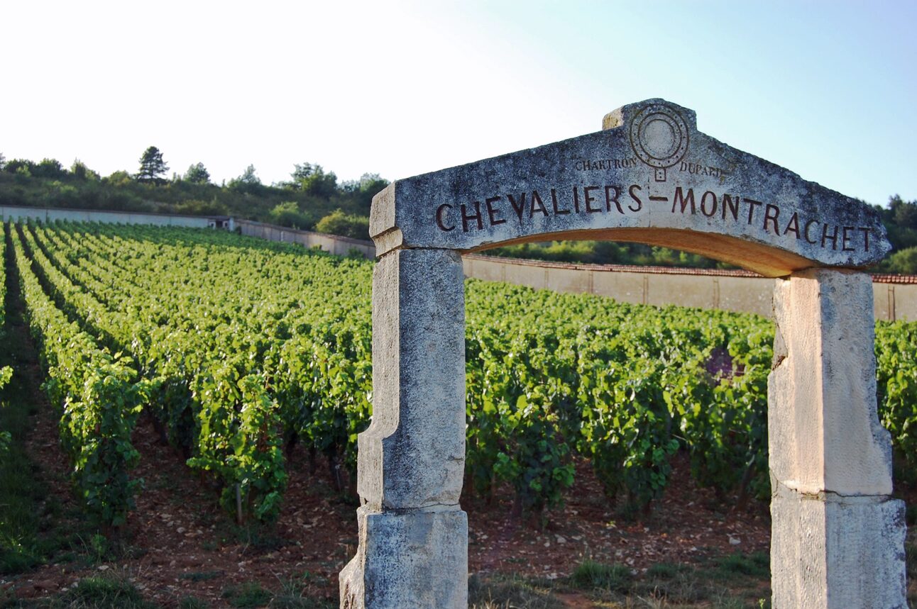 2017 Leflaive Chevalier-Montrachet: Elegant Burgundy Precision