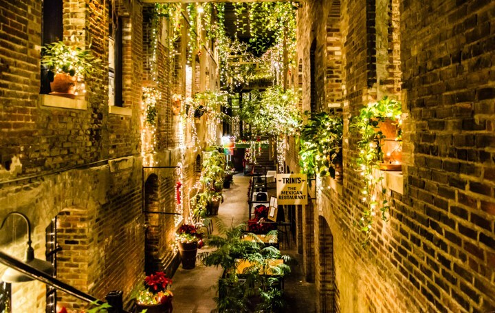 Lights Walk 5k and 10k