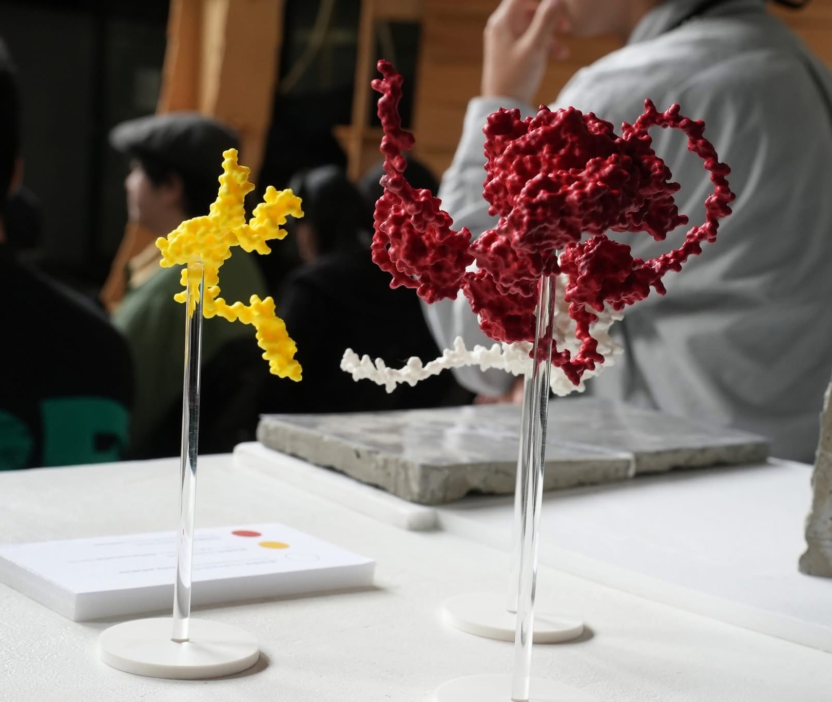 A 3D-printed model of a protein on a desk.