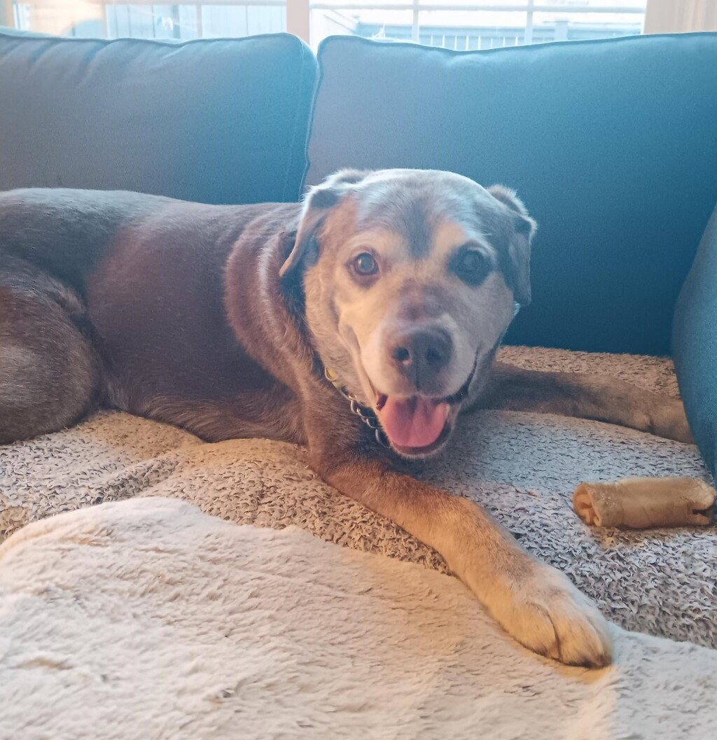 ⚓ Summer Camp Registration Opens + Meet Our Pet of the Week!