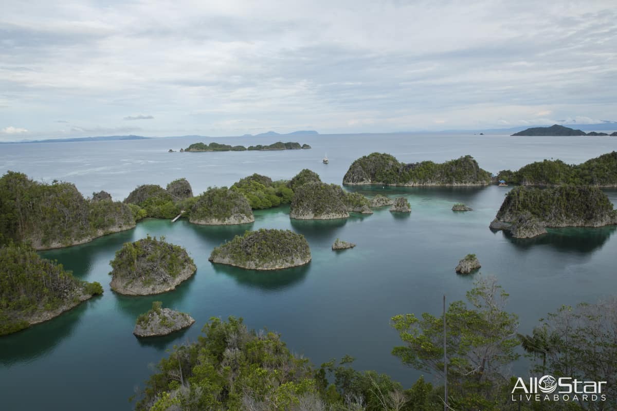 Hidden Gems: Lesser-Known Reef Destinations That Rival the Great Barrier Reef