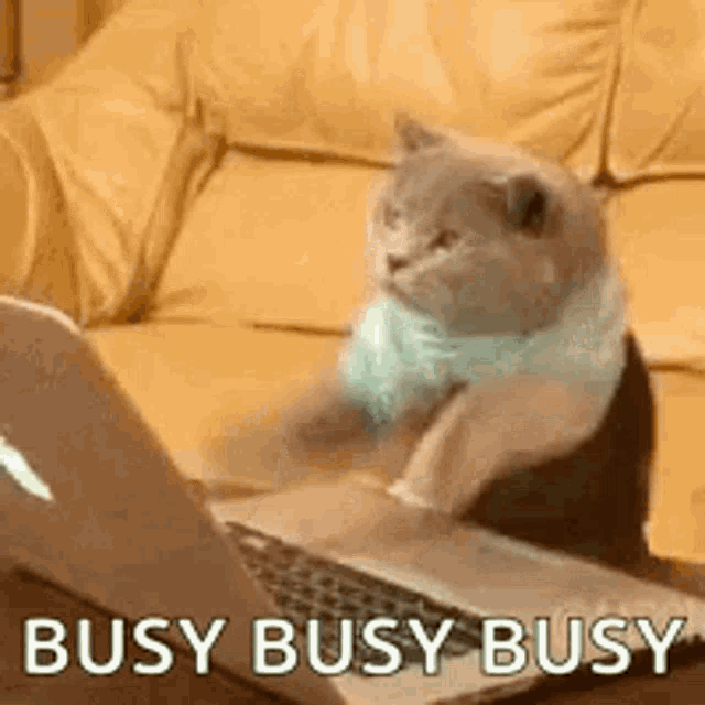 The Busy Beaver Issue: Podcast, Prompts, Paid Plus, and Productivity 👀