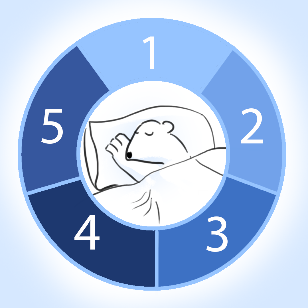 Maximising Your Sleep Game A Guide to Stages of Sleep and Best Habits