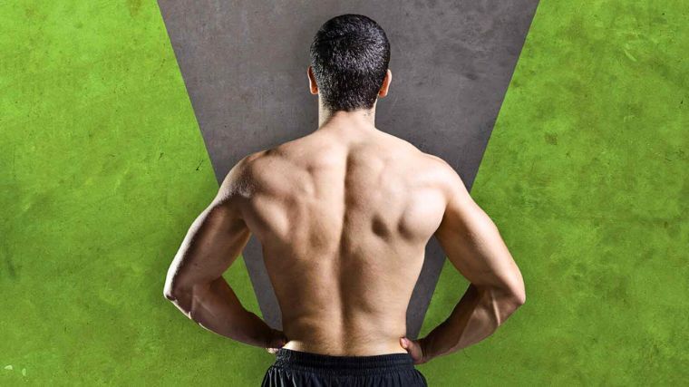 3 V-Taper Workouts for Bigger Lats
