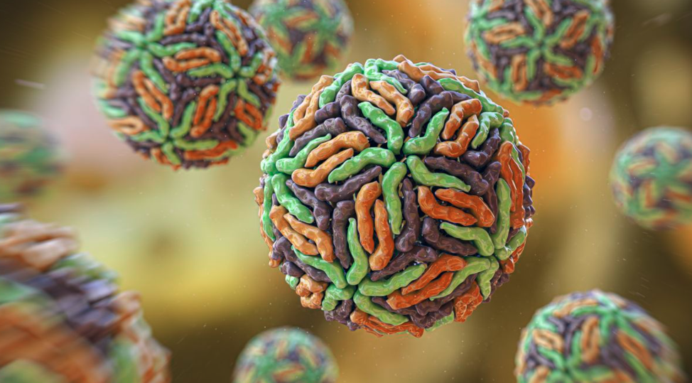 Google's AI Solves 10-Year Superbug Mystery in Just 48 Hours