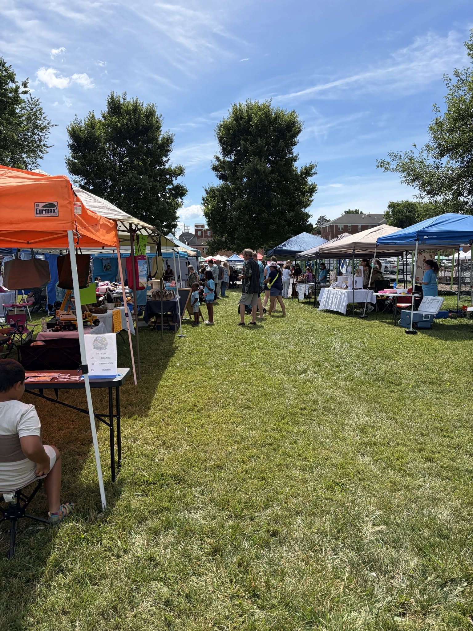This Week in Culpeper: Warbirds, Tomatoes, History Walks, and Weekend Plans