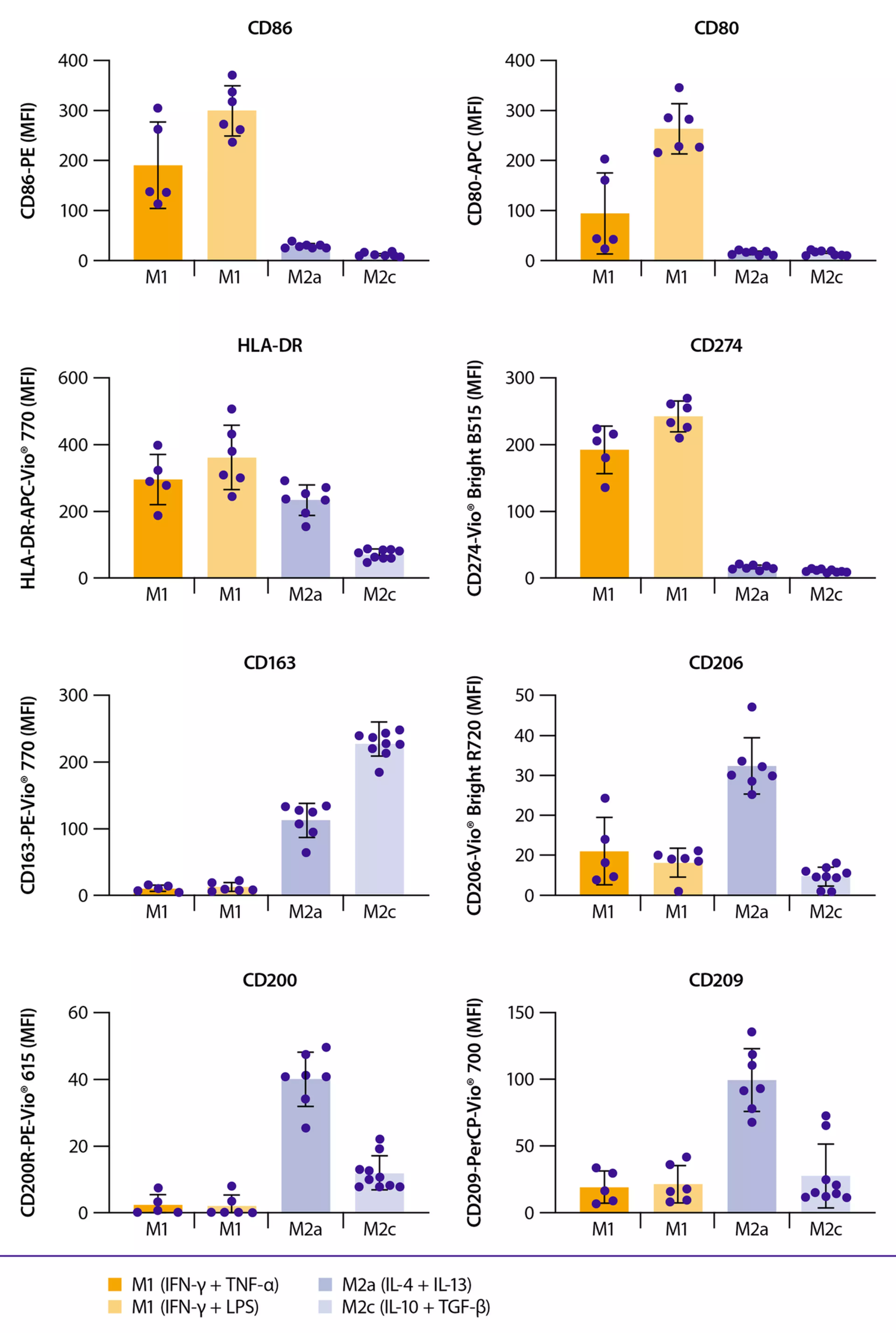 REAfinity 항체 패널로 확인한 M1/M2a/M2c 표현형 마커 MFI