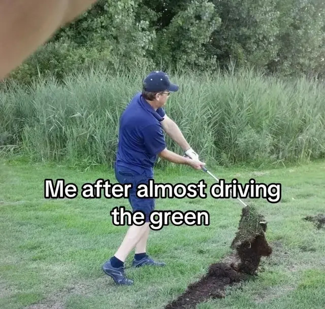 Me after almost driving the green meme