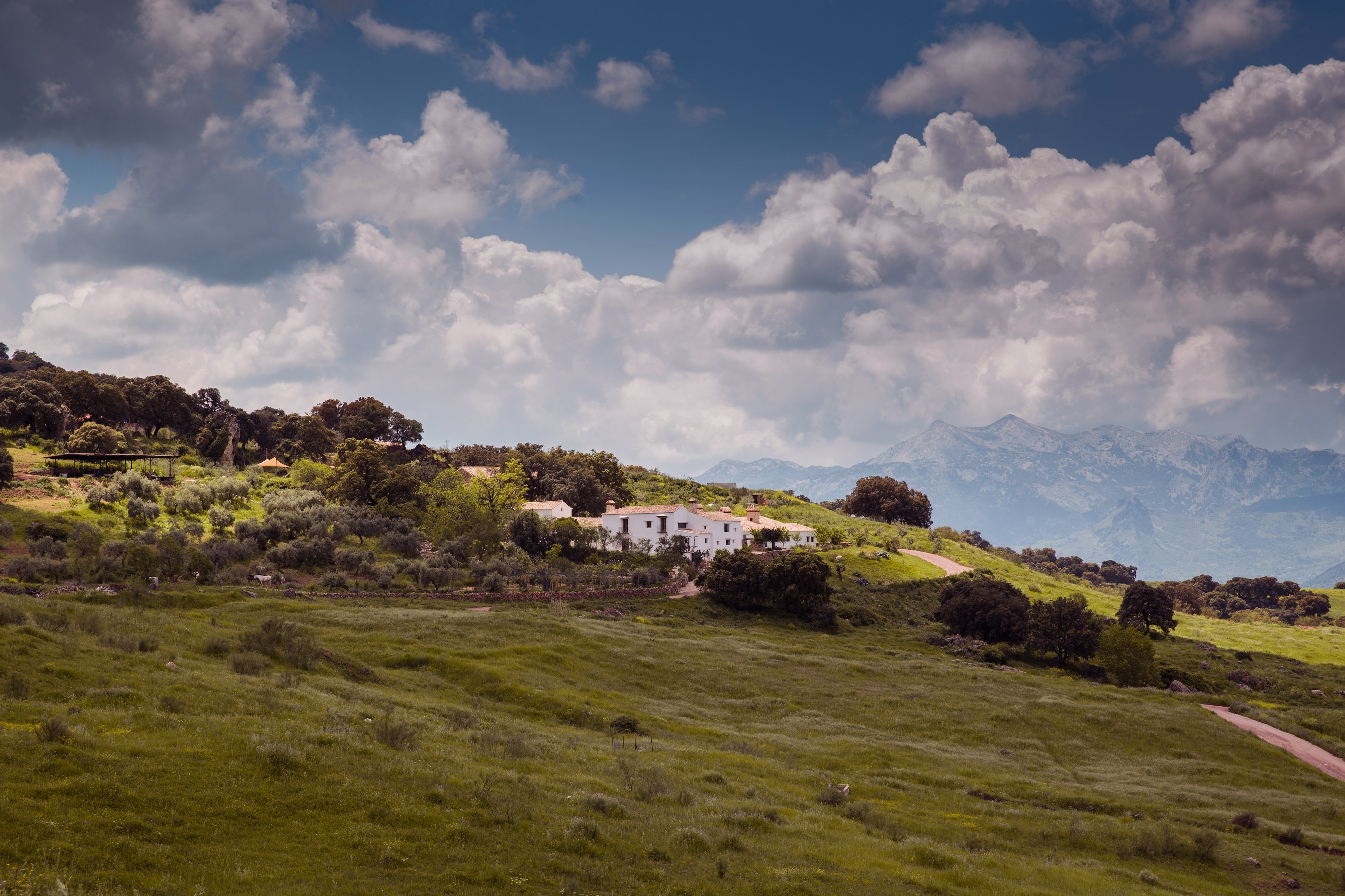 Finca La Donaira estate in the Andalusian countryside