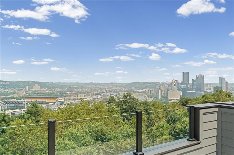1607 Grandview Ave rooftop-deck skyline view