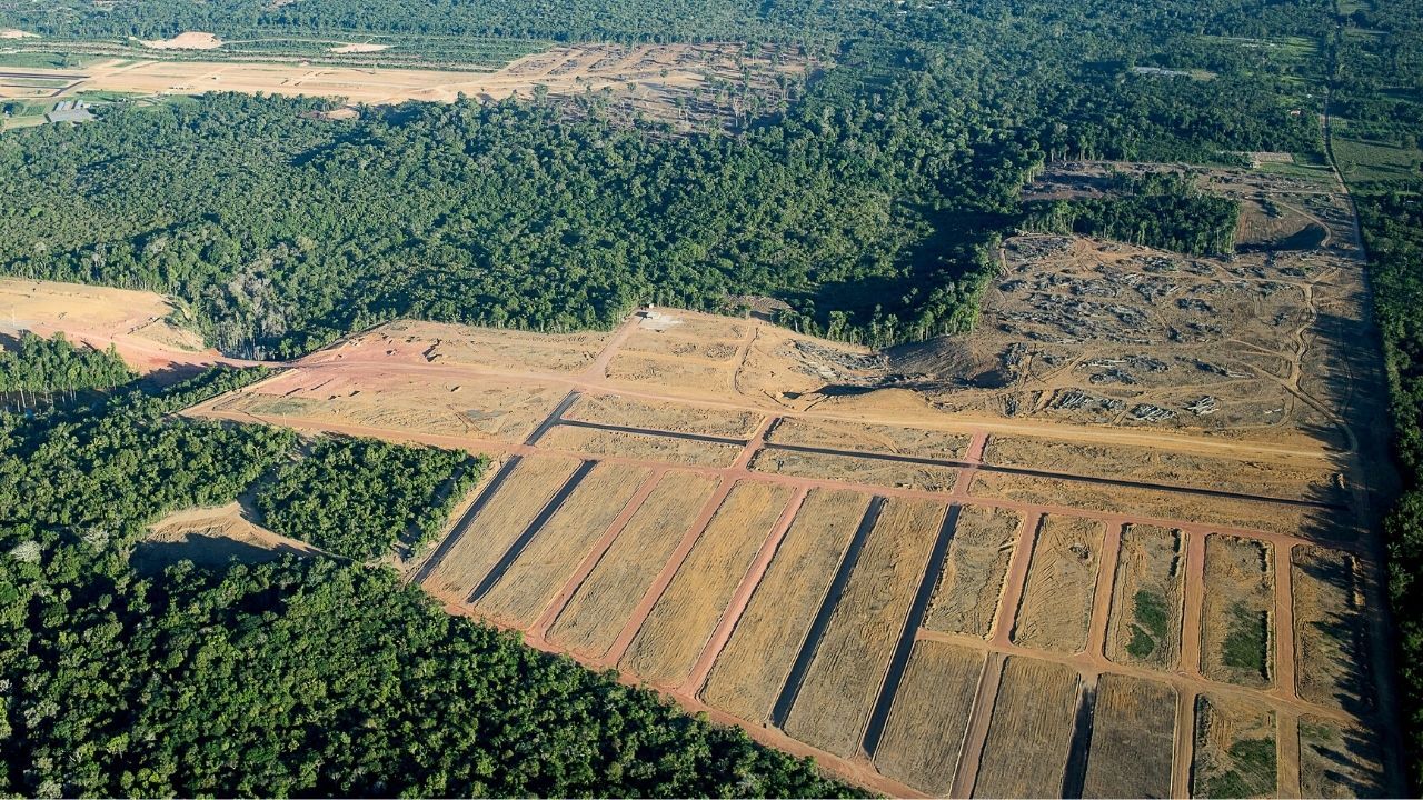 How Brazil’s government is turning public land private