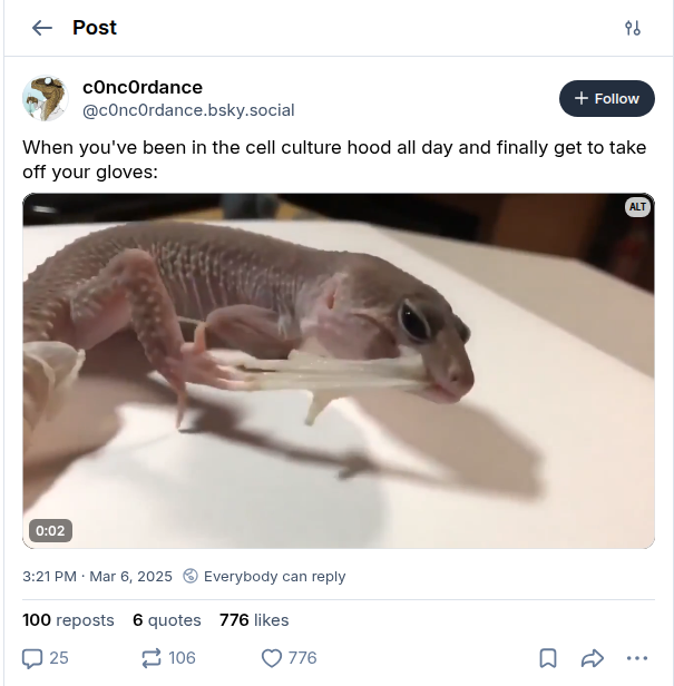 Bluesky post by c0nc0rdance showing a gecko pulling off its shed skin like a glove