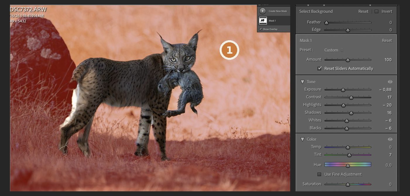 Lightroom with the Select Background mask shown in red and its slider values