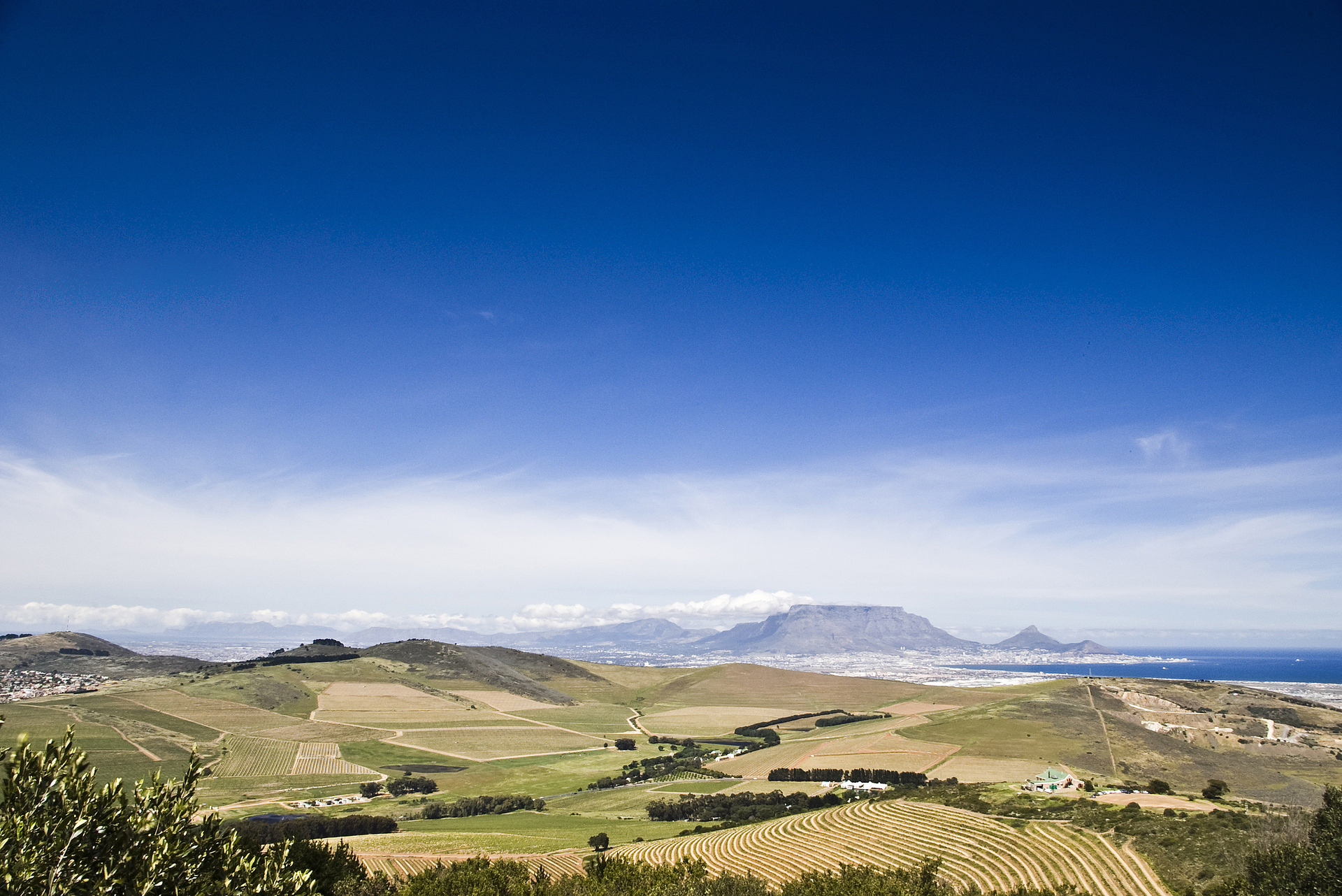 Dispatch #13: 🍷 Moonlight Tastings, Cycle Tour Tips, and the 53% Alert